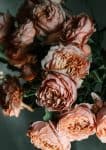 Rožių eterinis aliejus